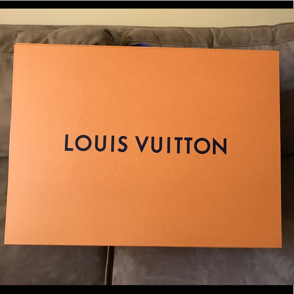 Large Louis Vuitton box with handle